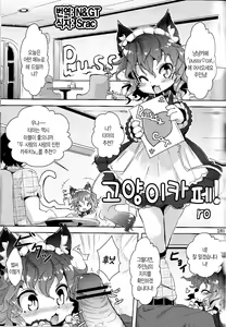 Neko Cafe! — hentai manga cover on Fhentai
