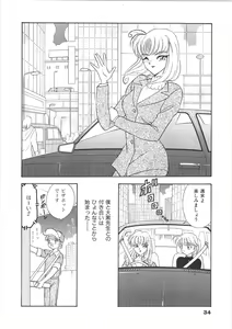 Page 34 of Onee-san no Kagai Jugyou - preview thumbnail