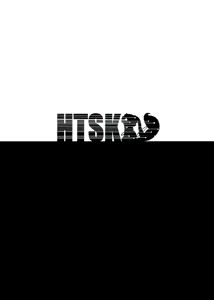 Page 2 of HTSK2.5 - preview thumbnail