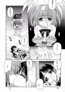 Page 33 of Pia Pure - preview thumbnail