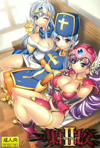 Page 9 of DQ3 WARRIOR - preview thumbnail