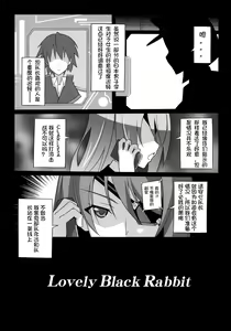 Page 16 of LovelyBlackRabbitS - preview thumbnail