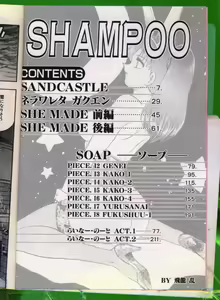 Page 4 of SHAMPOO - preview thumbnail