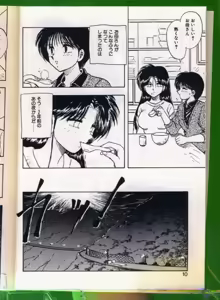 Page 8 of SHAMPOO - preview thumbnail