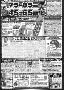 Page 255 of Manga Bangaichi 2008-10 - preview thumbnail