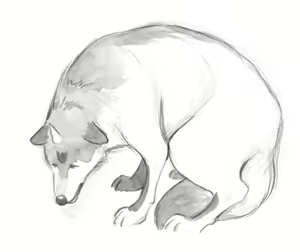Page 41 of wolf and saint - preview thumbnail