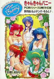 Can Can Bunny — hentai manga cover on Fhentai