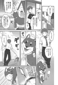 Page 33 of MGY - preview thumbnail