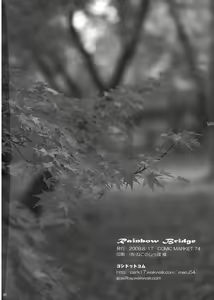 Page 30 of Rainbow Bridge - preview thumbnail