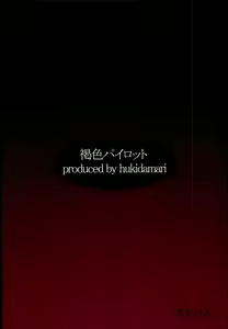 Page 26 of Kassyoku Pilot - preview thumbnail