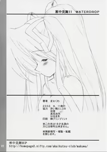 Page 21 of WATERDROP - preview thumbnail
