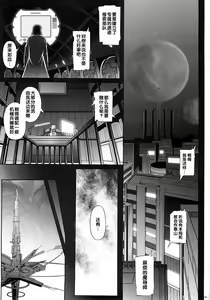 Page 3 of T-06 HAYATEN - preview thumbnail