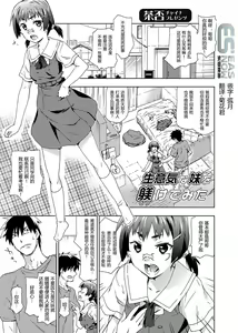 Namaiki na Imouto no Shitsukekata Mita — hentai manga cover on Fhentai