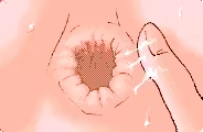 Page 239 of LIBIDO7 IMPACT (uncensored) - preview thumbnail