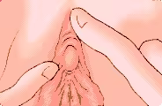 Page 41 of LIBIDO7 IMPACT (uncensored) - preview thumbnail