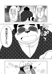 Page 36 of DECOBOCO - preview thumbnail