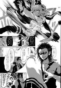 Page 12 of PL/RAY USA - preview thumbnail