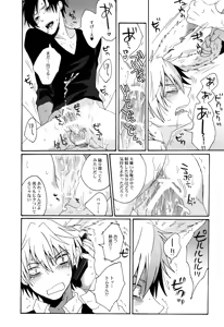Page 13 of BUKURO No Shizuusagi - preview thumbnail