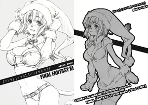 [Akai Tsubasa (Tachibana Chata)] [Santa] [Mithra] [Irimasen ka?] (Final Fantasy XI) - hentai manga cover image