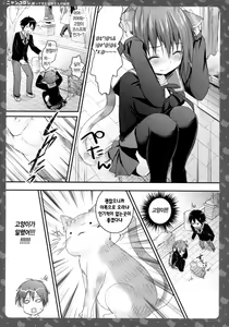 Page 12 of Nyancology -Kaettekita Nekota-san No himitsu- - preview thumbnail
