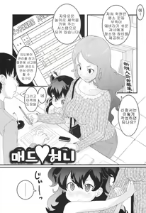 Mad Honey — hentai manga cover on Fhentai