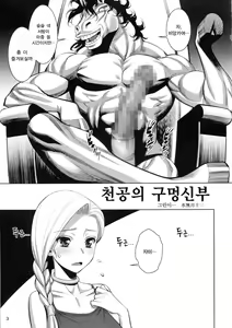 Page 3 of Tenkuu no Anayome | 천공의 구멍 신부 - preview thumbnail