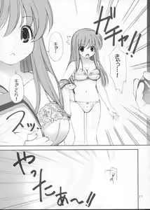 Page 17 of ROSEN RITTER - preview thumbnail