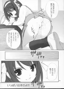Page 5 of ROSEN RITTER - preview thumbnail