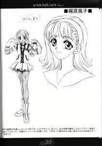 Page 29 of CARNELIAN vol.2  - Re·Leaf Settei Shiryou Tsudo - preview thumbnail