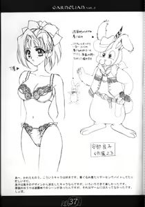 Page 36 of CARNELIAN vol.2  - Re·Leaf Settei Shiryou Tsudo - preview thumbnail