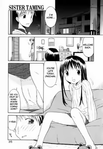 Sister Taming — hentai manga cover on Fhentai