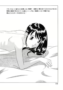 Page 117 of Shoukoujo 2 ~Lolita Girls Collection~ - preview thumbnail