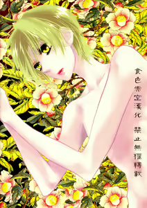 Page 28 of Natsume Seikou Chou - preview thumbnail