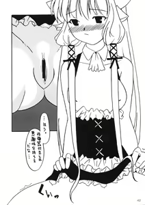 Page 41 of Kenko Daiichi - preview thumbnail