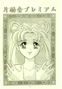 Page 2 of Henreikai Premium - preview thumbnail