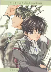 Michibiki no Kagami - hentai manga cover image