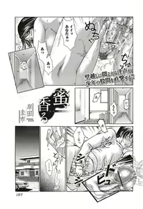 Page 161 of Bishoujo Kakumei KIWAME 2010-04 Vol. 7 - preview thumbnail