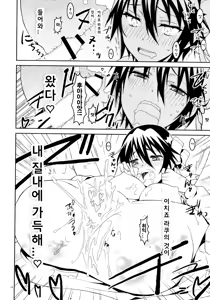 Page 13 of Nisenisekoi 3 - preview thumbnail