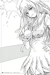 Page 2 of FLUKE BULLET 01&02 - preview thumbnail