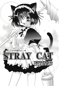 Page 62 of Pure Petit Vol.10 - preview thumbnail