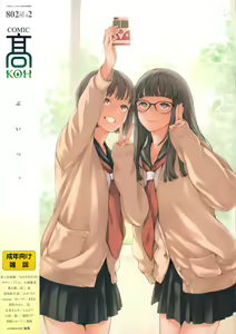 Comic Koh Vol.2 — hentai manga cover on Fhentai