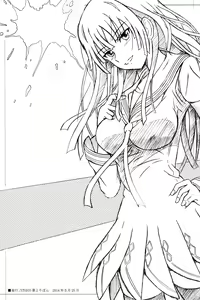 Page 3 of FLUKE BULLET 01&02 - preview thumbnail