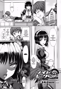 Maid in Secret — hentai manga cover on Fhentai