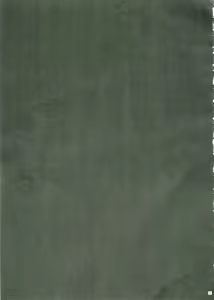 Page 34 of Henshin - preview thumbnail