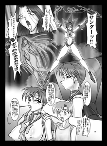 Page 17 of JSP.XII - preview thumbnail