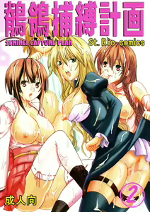 Sekirei Hobaku Keikaku 2 - hentai manga cover image