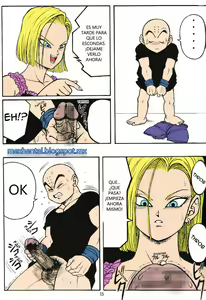 Page 13 of DragonBall H Maki San - preview thumbnail
