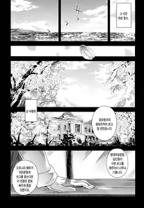 Page 37 of VictimGirls 17 SOS -savage our souls- - preview thumbnail