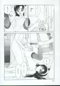 Page 111 of IRO IRO - preview thumbnail