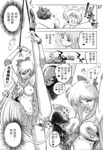 Page 37 of Submission Venus - preview thumbnail
